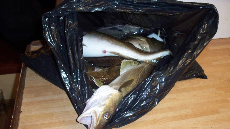 Нарвик. Минисафари Нарвик. Минисафари