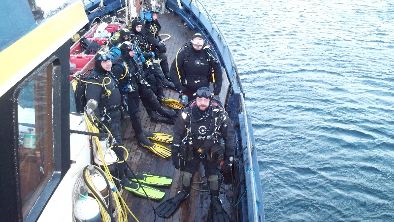 Нарвик. Минисафари Нарвик. Минисафари