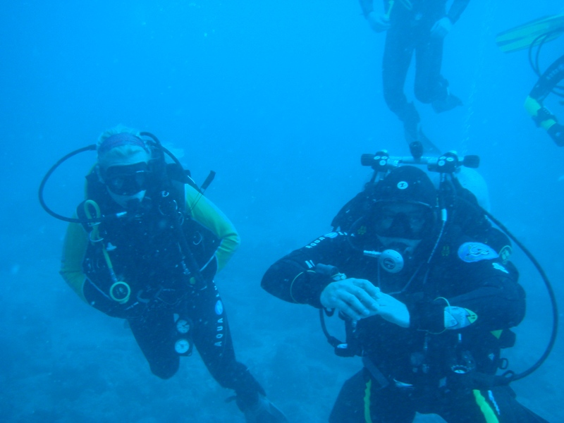 Сафари Север Красного Моря Сафари Север Красного Моря