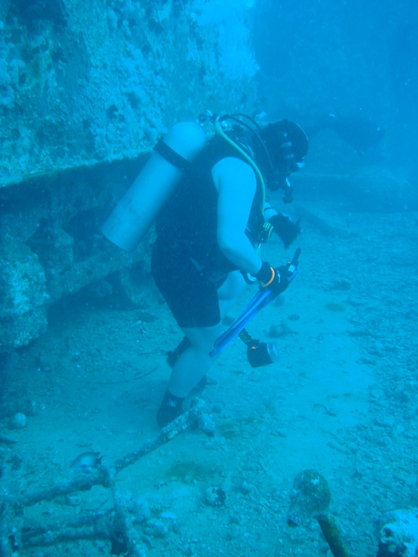 Сафари Север Красного Моря Сафари Север Красного Моря