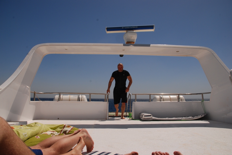 Сафари Север Красного Моря Сафари Север Красного Моря