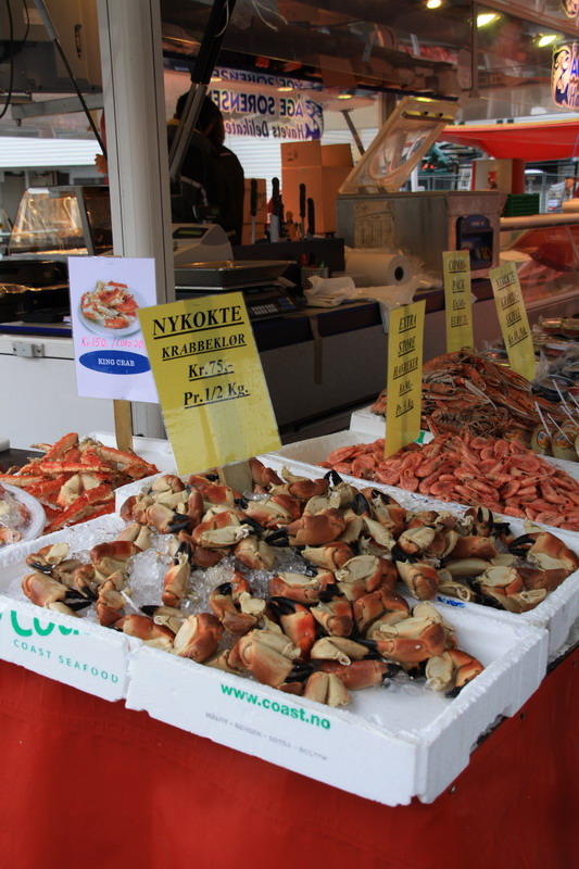 Норвегия 29.04.09-10.05.09 (Fedje-Flora-Fedje). Норвегия 29.04.09-10.05.09 (Fedje-Flora-Fedje).