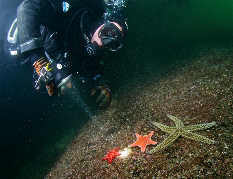 Где-то в Северном море... Где-то в Северном море...