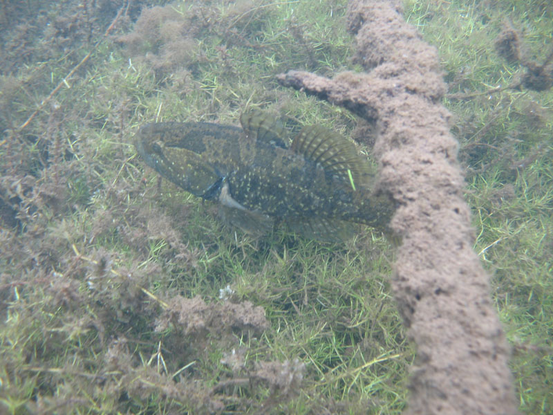 Пожарный водоём... Пожарный водоём...