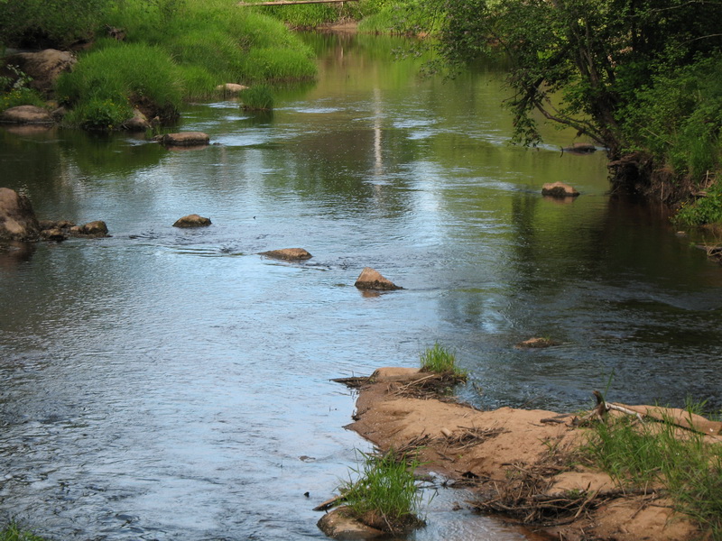 Ящера 2009 Ящера 2009