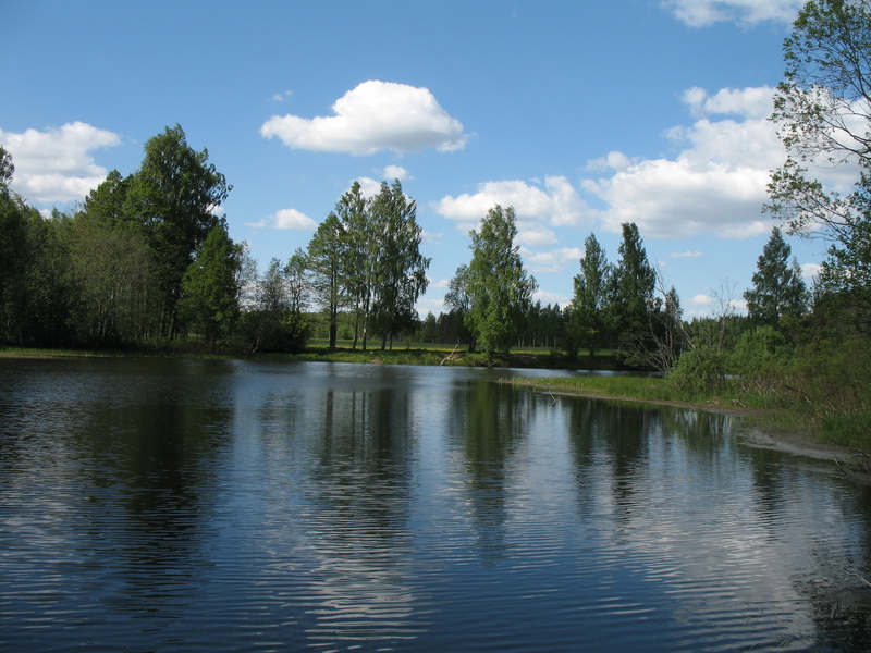 Быстрица 2009 Быстрица 2009