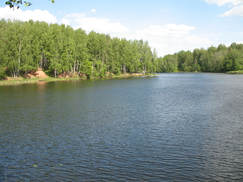 Быстрица 2009 Быстрица 2009