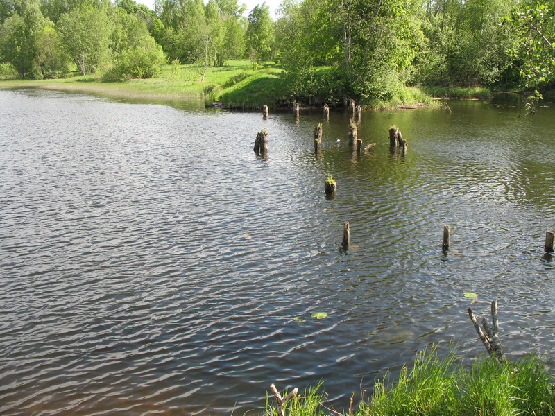 Быстрица 2009
