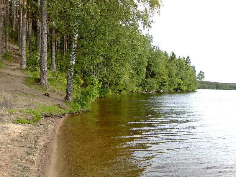 Лен. обл. 21.06.09 оз. Глубокое