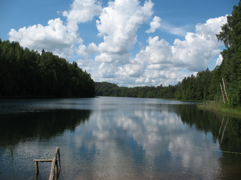 Волчье логово