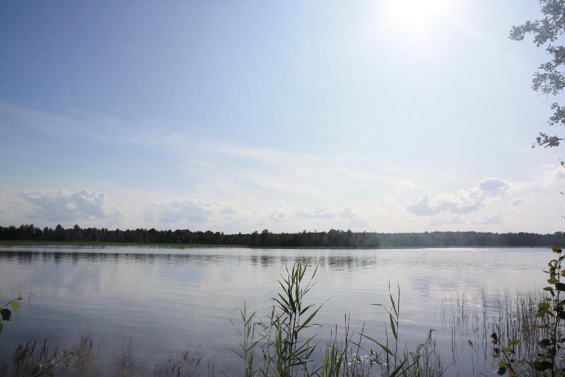 оз.Отрадное, 2009 оз.Отрадное, 2009