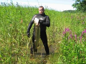 щука 10 кг щука 10 кг