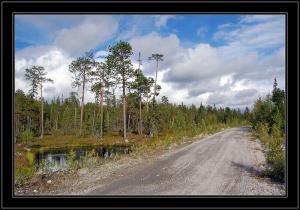 Фото Андрея Некрасова.