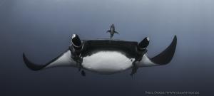 сан бенедикто сан бенедикто