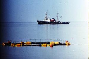 Судно-носитель подводного аппарата "Риф" на мысе Большой Утриш. 
На переднем плане - рыбоводный садок системы "Brigestone".
Черное море, 1986 г.
