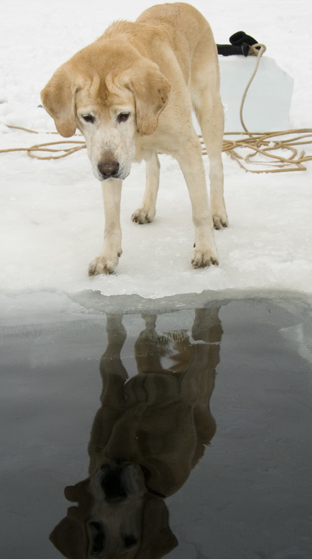 03/03/2007 Цвелодубово - Белый тюлень 03/03/2007 Цвелодубово - Белый тюлень