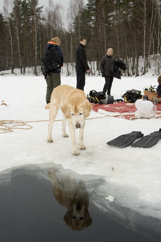 03/03/2007 Цвелодубово - Белый тюлень 03/03/2007 Цвелодубово - Белый тюлень