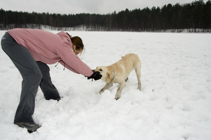 03/03/2007 Цвелодубово - Белый тюлень