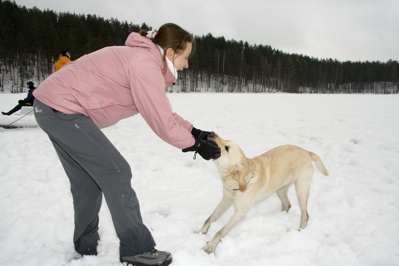 03/03/2007 Цвелодубово - Белый тюлень