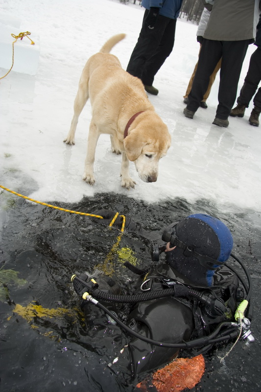 03/03/2007 Цвелодубово - Белый тюлень