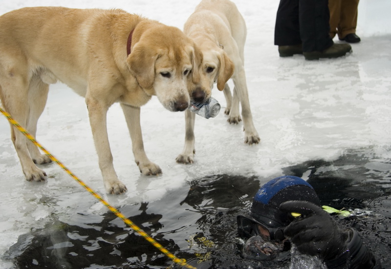 03/03/2007 Цвелодубово - Белый тюлень 03/03/2007 Цвелодубово - Белый тюлень