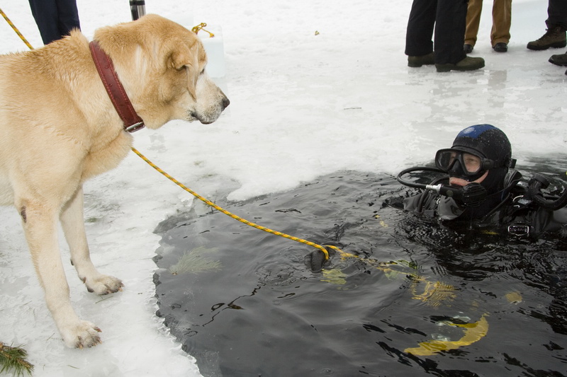 03/03/2007 Цвелодубово - Белый тюлень