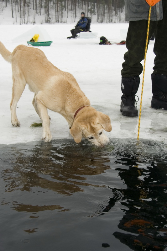 03/03/2007 Цвелодубово - Белый тюлень 03/03/2007 Цвелодубово - Белый тюлень
