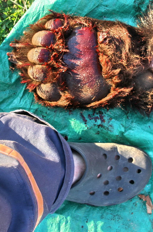 БМ. Август 2009 БМ. Август 2009