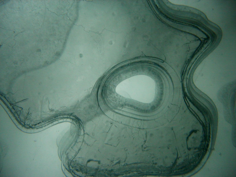 Ледяной иллюминатор Ледяной иллюминатор