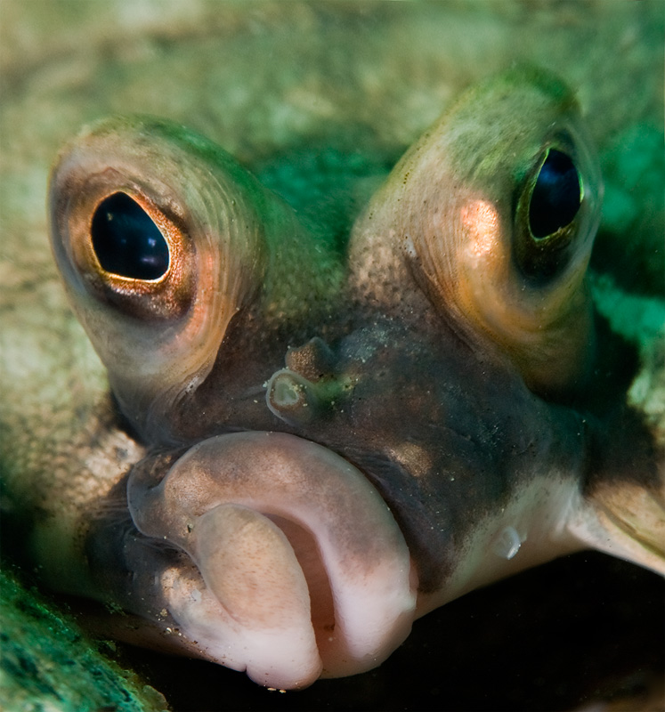 Бухта Витязь Бухта Витязь