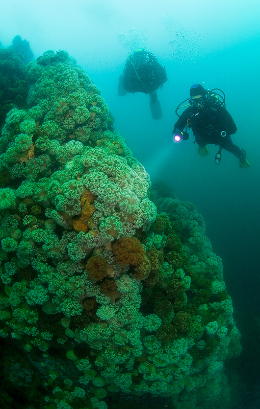 Бухта Витязь Бухта Витязь