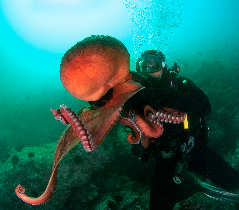 Бухта Витязь Бухта Витязь