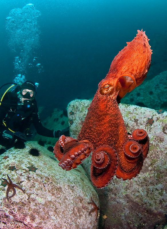 Бухта Витязь Бухта Витязь