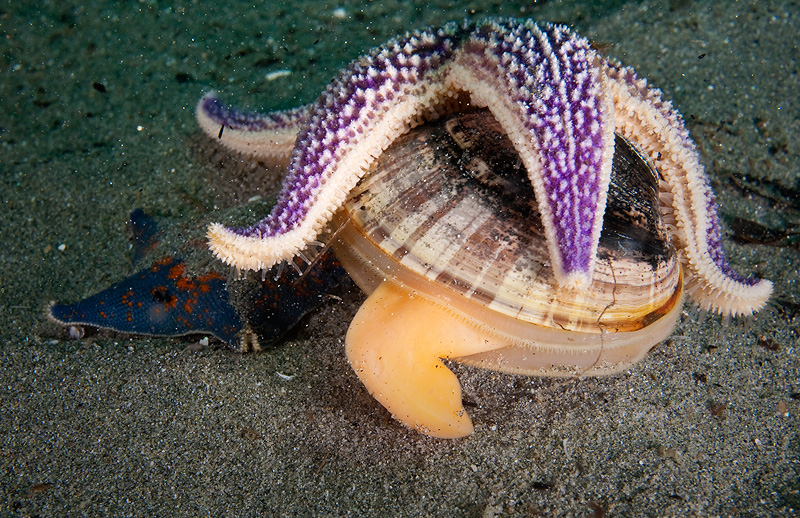 Бухта Витязь Бухта Витязь