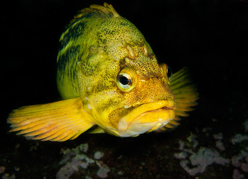 Бухта Витязь Бухта Витязь