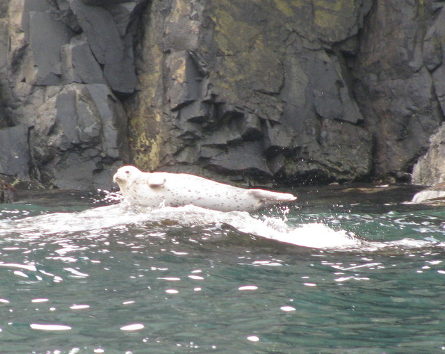 Бухта Витязь Бухта Витязь