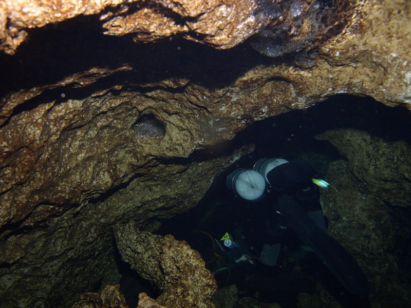 Флорида Флорида