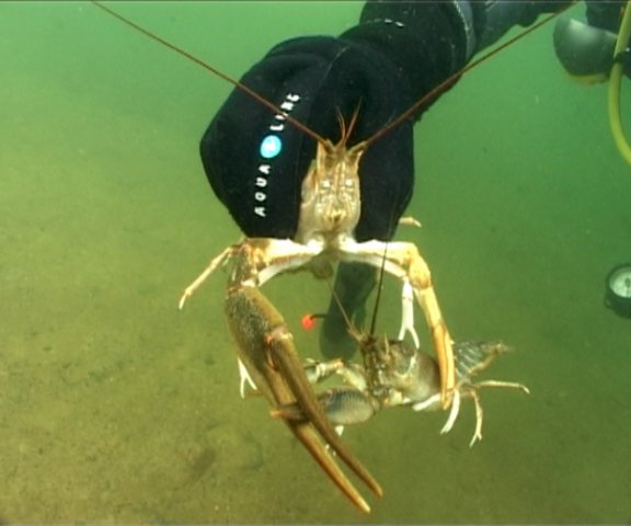 В гостях у Раков! В гостях у Раков!