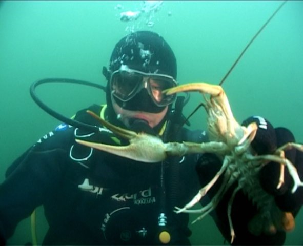 В гостях у Раков! В гостях у Раков!