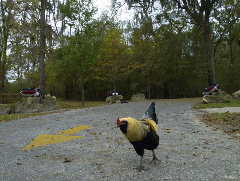 Выход - там Выход - там