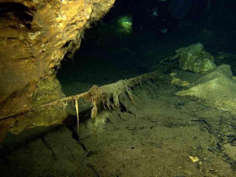 Peacock waterhole Peacock waterhole