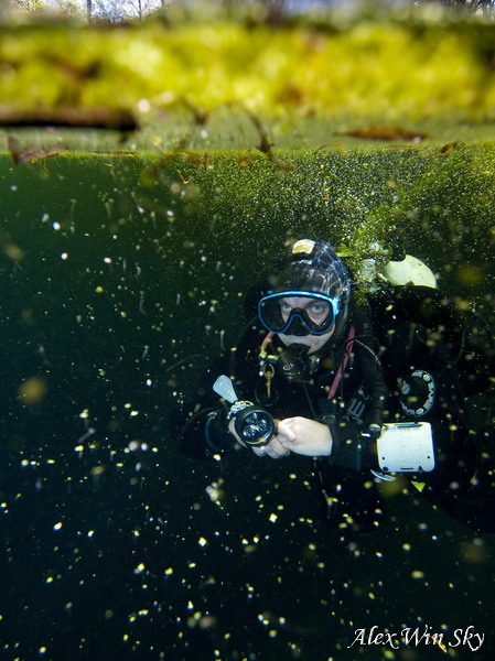 Особености Национального Дайвинга Особености Национального Дайвинга