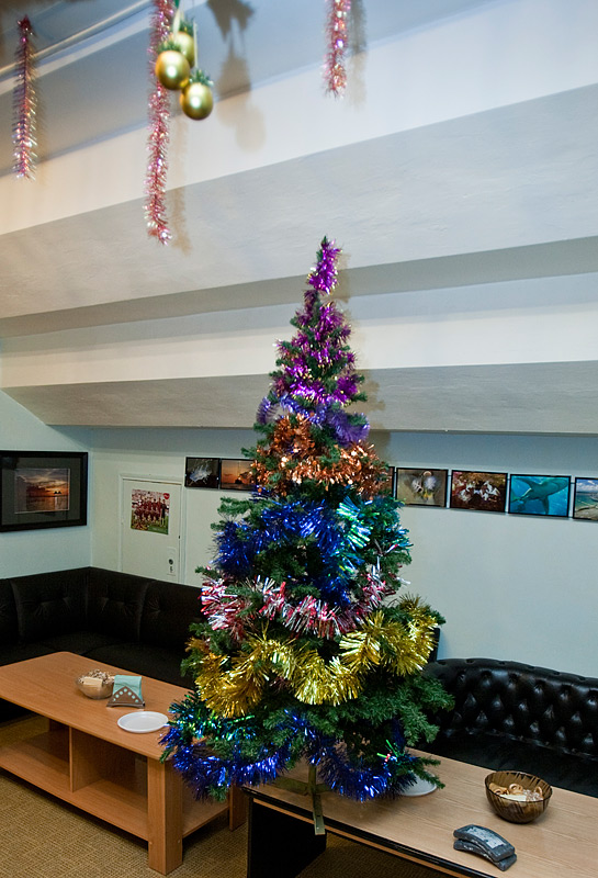 БТ. Новый год. 24.12.09 БТ. Новый год. 24.12.09