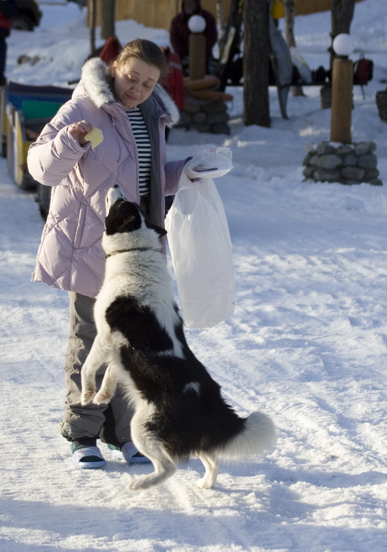 Полярный круг, Нильма, 16 - 18 марта 2007 Полярный круг, Нильма, 16 - 18 марта 2007