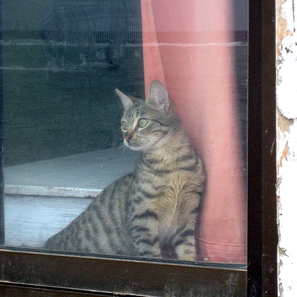 Домик с окнами на прибой.