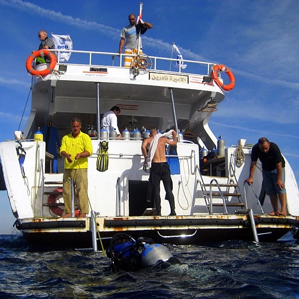 Закончен дайв.