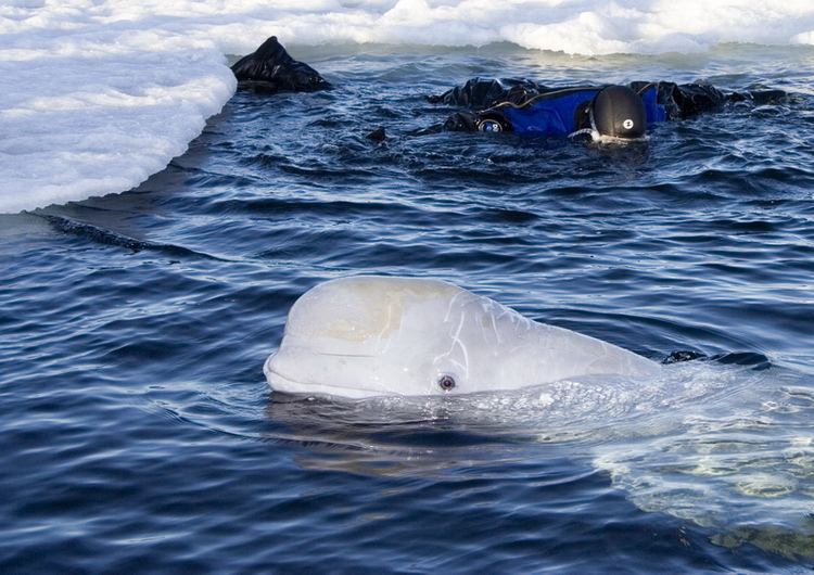 Полярный круг, Нильма, 16 - 18 марта 2007 Полярный круг, Нильма, 16 - 18 марта 2007