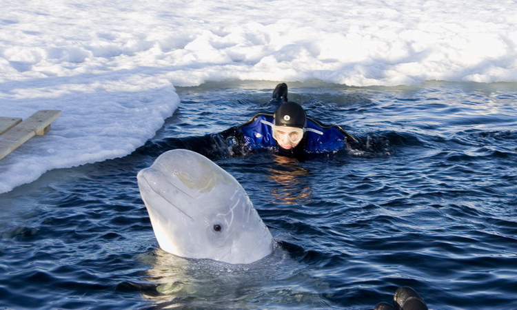 Полярный круг, Нильма, 16 - 18 марта 2007 Полярный круг, Нильма, 16 - 18 марта 2007