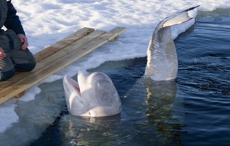 Полярный круг, Нильма, 16 - 18 марта 2007 Полярный круг, Нильма, 16 - 18 марта 2007