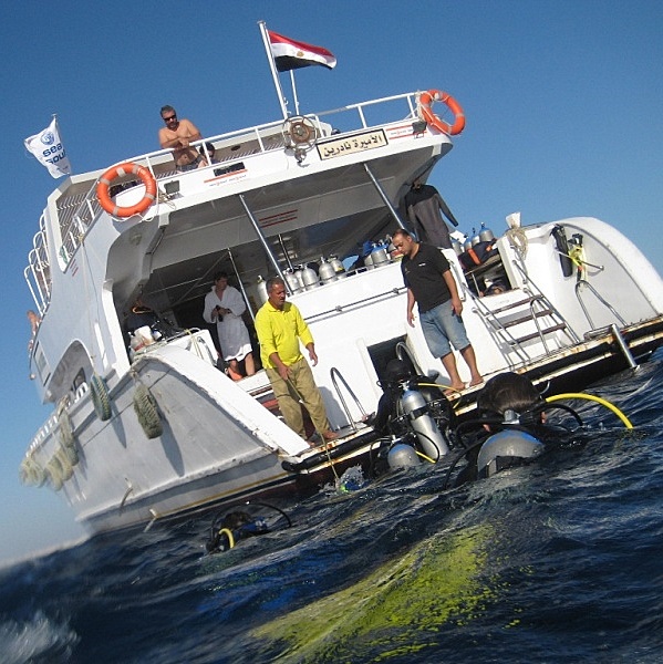 Закончен дайв. Закончен дайв.